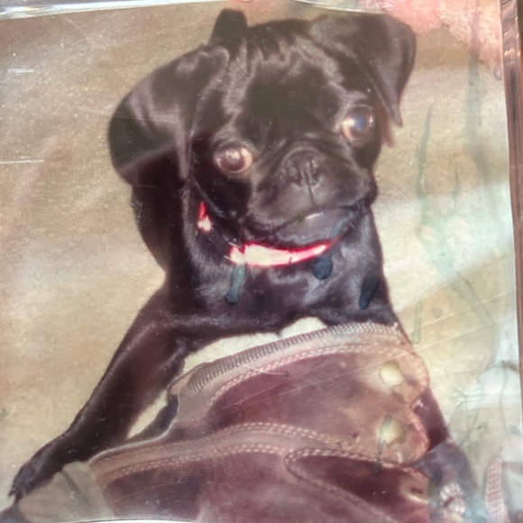 pugzli